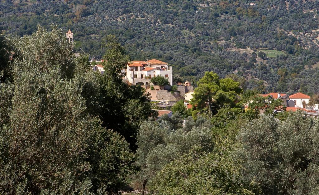 Amari Villas Dış mekan fotoğraf